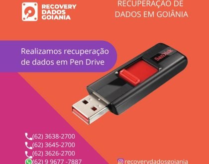 RECUPERAÇÃO-DE-PENDRIVER-HD-SSD-GOIANIA